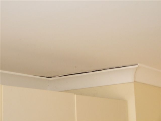 Ceiling Cornice Repair Cornice Repair Albany Southern Ceiling