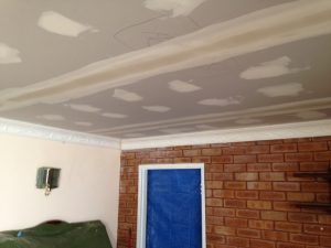 plaster ceiling repair and cornice repair